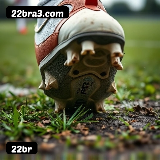 Principais provedores de slots da 22br - NetEnt, Pragmatic Play, Play'n GO